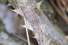 slides/DSC_0086.JPG  DSC_0086