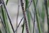 slides/DSC_0225.JPG  DSC_0225