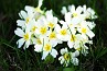 slides/DSC_0254b.JPG  DSC_0254b