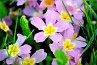 slides/DSC_0262b.JPG  DSC_0262b